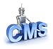 Wallmonkeys Peel and Stick Wall Decals - Cms : Content Management System Concept. Isolated on White - 24"W x 22"H Removable Graphic