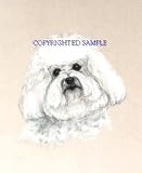 Bichon Frise - Portrait by Cindy Farmer