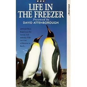 Life In The Freezer [VHS] [1993]