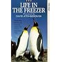 Life In The Freezer [VHS] [1993]