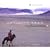 The Silk Road: A Musical Caravan