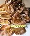 100 Premium Made in the USA Pig Ears