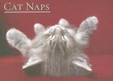 Cat Naps Boxed Notecards