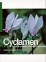 Cyclamen