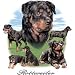 Rottweiler Adult T-Shirt