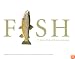FISH: 77 Great Fish of North America