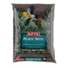 Kaytee Nyjer Thistle Seed by Kaytee
