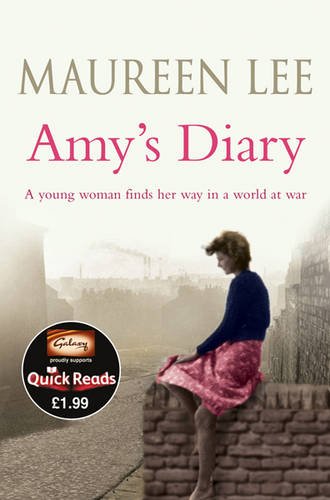 Orion Publishing Group Amy's Diary (Quick Reads)