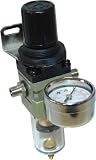 Airbrush Compressor AIR REGULATOR Moisture Filter Brush by Master Airbrush