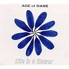 Life Is a Flower