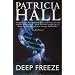 Deep Freeze (Ackroyd & Thackeray Mystery)
