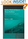 Identity, Ritual and State in Tibetan Buddhism: The Foundations of Authority in Gelukpa Monasticism (Routledge Studies in Tantric Traditions)