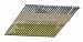 B & C Eagle A2X120HDR/33 Clipped Head 2-Inch by .120-Inch by 31 to 33 Degree Paper Tape Collated Hot Dipped Galvanized Ring Shank Framing Nail (500 per Box)