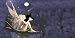 Airbrushed License Plate - Fairy with Crystal Ball License Plate- #1512