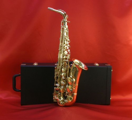MusicalInstruments: Swing Street   Mark V   Gold Lacquer Alto Saxophone with Deluxe Case and Selmer mouthpiece. THREE YEAR WARRANTY