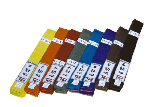 Karate Coloured Belt Orange 280cm