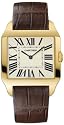 Cartier Santos Dumont w2008751