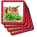 Susan Brown Designs Animal Themes - Cat Hunting Ladybug - Coasters