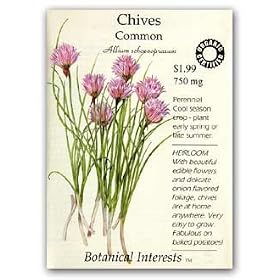 Common Chives Seeds - 750 mg - Certified Organic