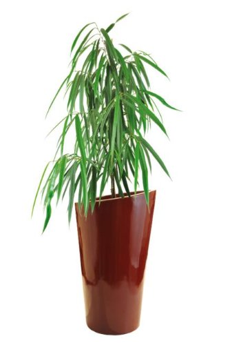 Blumenkübel Pflanzkübel Pflanzgefäße
