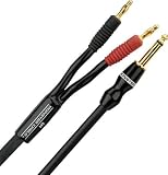 Monster Performer 500 Speaker Cable - 10 Feet - Straight 1/4-Inch to Dual Bananas