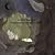 Hummingbird in Forest of Space(DVD�t��������)