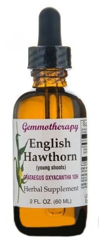 Gemmotherapy English Hawthorn (Crataegus Oxyacantha) 1 DH Boiron