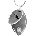 NFL New England Patriots 2 Piece Steel Sport Tag - 26"