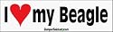 I Love My Beagle - bumper stickers (Medium 10x2.8 in.)