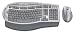 Microsoft Wireless Laser Desktop for Mac-Silver ( 65U-00001 )