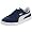 Blue/White