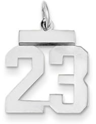 14k White Gold Small Polished Number 23 Charm