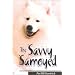 The Savvy Samoyed