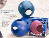 Fantastic Ferret Ball In View Thru Box