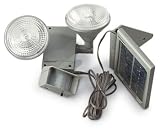 Brinkmann Solar Motion Detector Home Light
