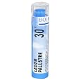 Boiron Homeopathic Medicine Ledum Palustre, 30C Pellets, 80-Count Tubes (Pack of 5)