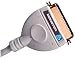 MONSTER CABLE High Speed Printer to PC IEEE 1284 Connection; 6 ft. length; (JP PRPC HP-6)