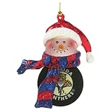SC Sports Florida Panthers Striped Snowman Puck Ornament 2-pack