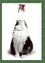 Cat with Mistletoe (Holiday Cards)
