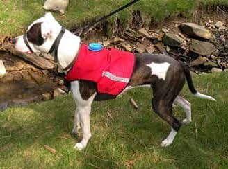 K9Kwencher - Canine Hydrating and fitness system (Medium     26" - 30" 66 cm. - 76.2 cm)