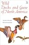 Wild Ducks and Geese of North America