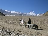 Farmer Going Home Near Tingri, Cho Oyu and Himalayas in Distance, Tibetan Plateau, Tibet, China Photographic Poster Print by Tony Waltham, 32x24