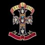 Appetite for Destruction