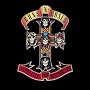Appetite for Destruction Appetite for Destruction