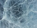 Abstract of Cracked Arctic Sea Ice Photographic Poster Print by Carsten Peter, 24x18
