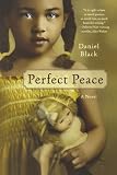 Perfect Peace: A Novel