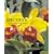 Orchids (Hamlyn Care Manual)