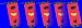 Everybody Meat Here Banners Set of 5