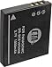 Pansonic Lumix DMC-FX30, DMC-FX33, DMC-FX55, SDR-S10 - Replacement Battery (1000 mAh, 3-YR Warranty)