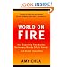 World on Fire: How Exporting Free Market Democracy Breeds Ethnic Hatred and Global Instability